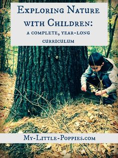 a young boy crouching next to a tree in the woods with text overlay reading exploring nature with children a complete, year - long guide