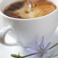 a white cup filled with coffee and saucer next to a purple flower on a plate