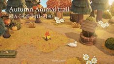 an autumn animal trail is shown in this screenshot