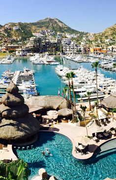 a marina filled with lots of boats next to palm trees and mountains in the background