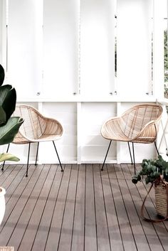 two wicker chairs sitting on top of a wooden floor next to potted plants