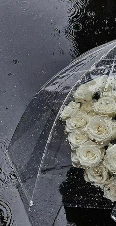 a bouquet of white roses sitting on top of an open umbrella in the rain with water droplets