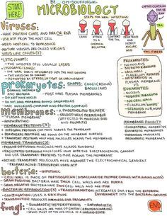 a poster with instructions on how to use microbiotics