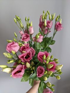 a person holding a bouquet of pink flowers in their hand with green stems and buds