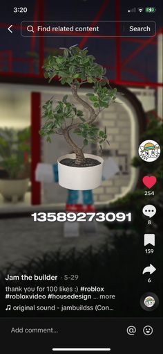 an image of a tree in a pot on the app