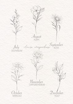 six different types of flowers are shown in this drawing style, each with their own name