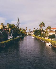 a river running through a city next to palm trees