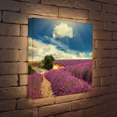 a brick wall with an image of lavender fields on it