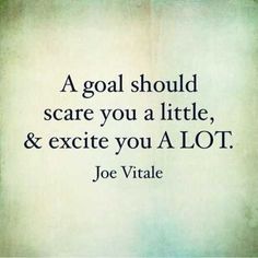 a quote from joe vitale that says, a goal should scare you a little and excite you a lot