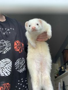 a ferret is being held by a woman