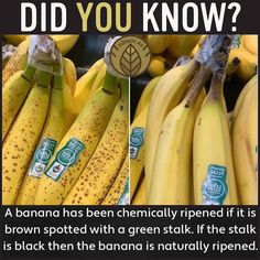 Banana Facts, All Fruits, A Banana, Food Facts, Grow Your Own Food, Health Info, Health Facts, Calorie Diet, Health Remedies