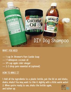 the instructions for how to make diy dog shampoo with coconut oil and honey