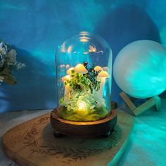 a glass dome with plants inside on a wooden stand