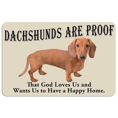 a dachshunds are proof magnet that god loves us and wants us to have a happy home