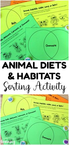 animal diets and habitats sorting activity for kids