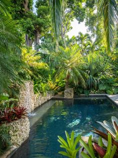 an outdoor swimming pool surrounded by tropical trees and greenery, with water running through it