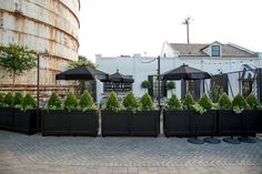 several black planters with umbrellas in front of an old silo and white building