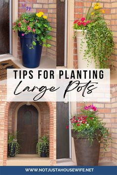 four different types of flower pots with the words tips for planting large pots