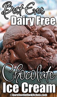 chocolate ice cream in a bowl with the words best ever dairy free chocolate ice cream