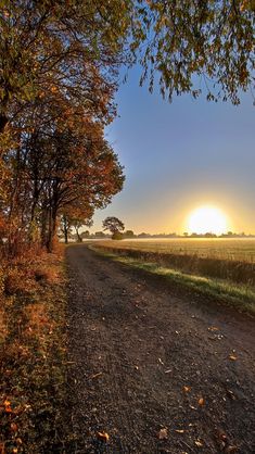 the sun is setting over a dirt road with trees on both sides and grass in the foreground