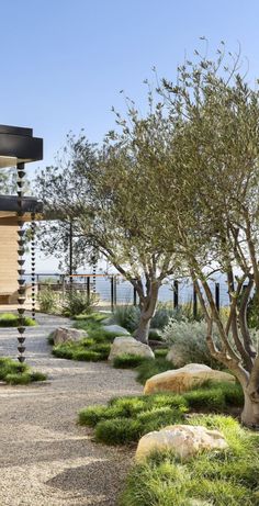 an outdoor area with trees and rocks in the foreground, along with a walkway between two buildings