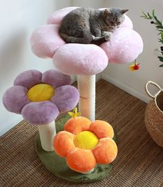 a cat laying on top of a flower shaped scratching post