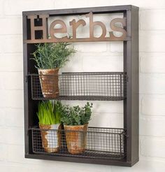 a shelf with plants and herbs on it