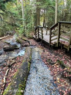 Visit Largo Springs in Northern Michigan: Jaw-Dropping Natural Springs Perfect Getaway Summer In Michigan, Michigan Hiking, Oscoda Michigan, Spring Lake Michigan, Best Hikes In Lower Michigan, Higgins Lake Michigan, Manistee National Forest, Pure Michigan Photography, Michigan Photography