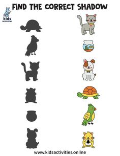 find the correct shadow for each animal