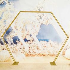 an artistic photo with white flowers and gold frames