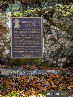 a plaque on the side of a large rock with leaves around it in front of some rocks