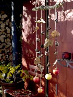 the mobile phone is displaying an image of apples hanging from it's hooks and strings