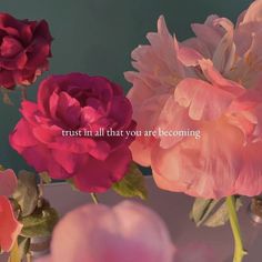 three pink and red flowers with the words trust all that you are becoming