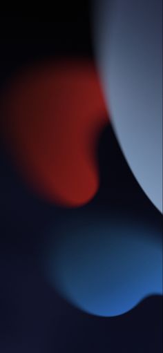 an image of the back side of an iphone with red and blue circles on it