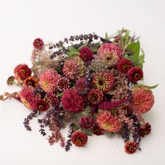 a bunch of flowers that are laying on top of each other in front of a white background