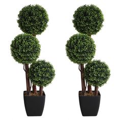 two potted trees are shown in front of each other