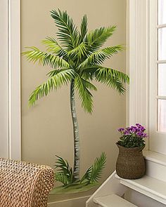 a potted palm tree sitting next to a window