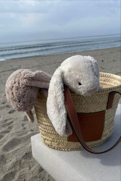 a stuffed bunny in a basket on the beach