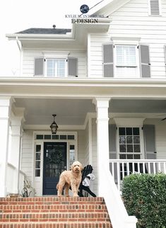 a dog standing on the front steps of a house