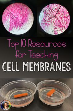 the top 10 resources for teaching cell membranes with text overlaying