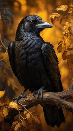 a large black bird sitting on top of a tree branch in front of some leaves