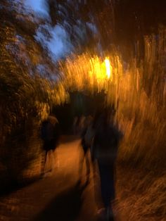 blurry image of people walking down a path at night with trees in the background