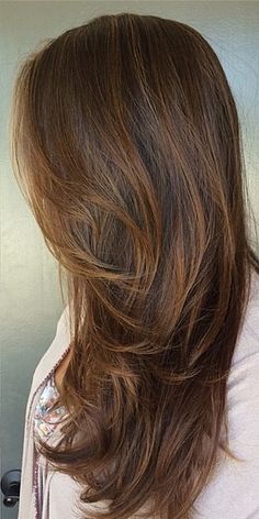 Hair Color For Morena, Brilliant Brunette, Light Browns, Brunette Color, Good Hair, Hair Color And Cut, Hair Inspiration Color, Good Hair Day, Beautiful Long Hair