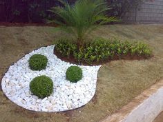 a small garden with rocks and plants in the center, along side a house wall