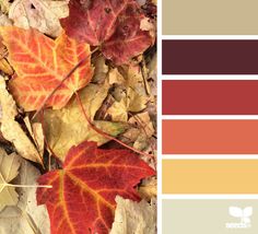 the color palette is red, yellow, and green with some brown leaves on it