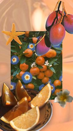 oranges and other fruit on a plate with starfish in the background, along with an image of flowers