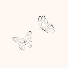 two butterflies flying side by side in the sky