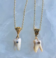 an authentic human Tooth with a crystal cavity hangs from a decorative bail on a long gold chain Human Teeth Jewelry, Diy Teething, Human Teeth, Gold Teeth, Teeth Jewelry, Tooth Necklace, Bone Jewelry, Pearl Jewelry Sets, Funky Jewelry