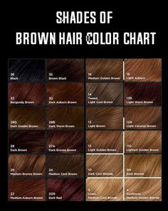 shades of brown hair color chart-min Hair Wishlist, Shades Of Brown Hair, Hair Color Names, Hair Chart, Golden Brown Hair Color, Rambut Brunette