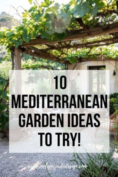 the words 10 mediterraneanan garden ideas to try in front of an outdoor pergoline